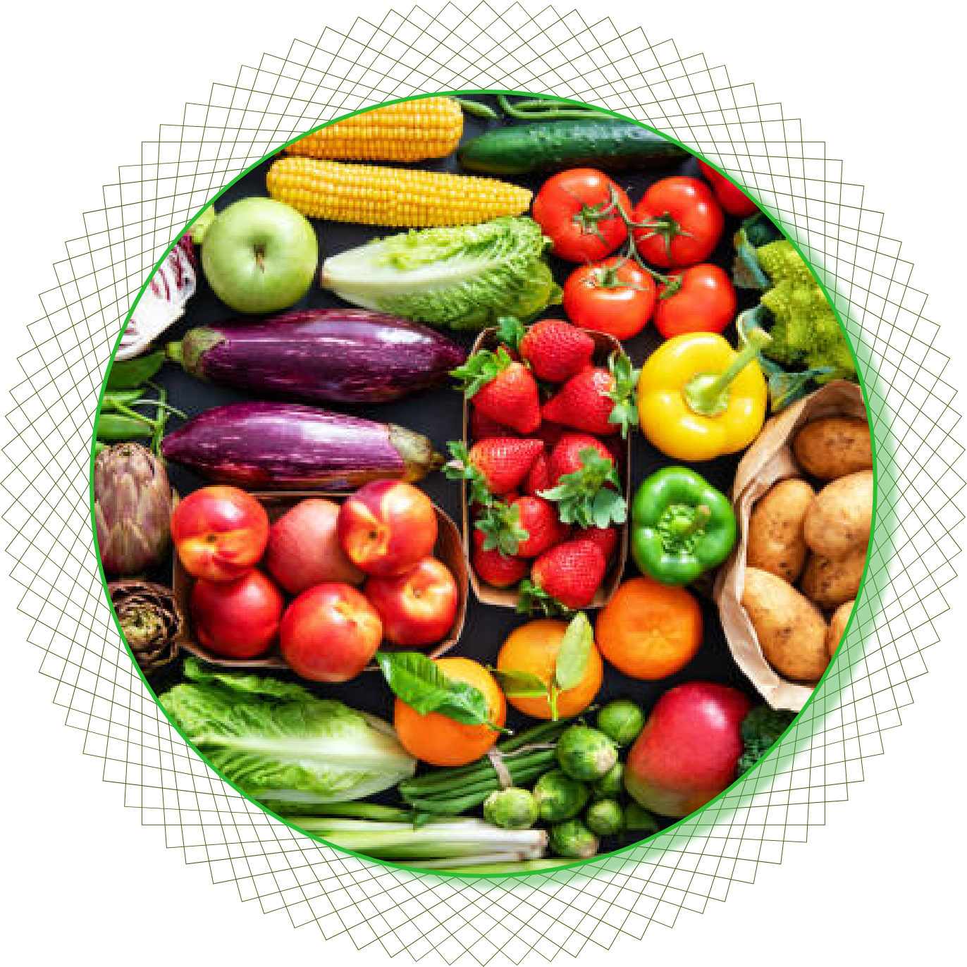 Fresh Vegetables